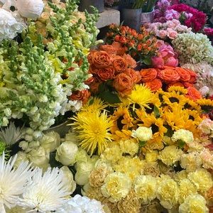 Meet your Posher, Rachel